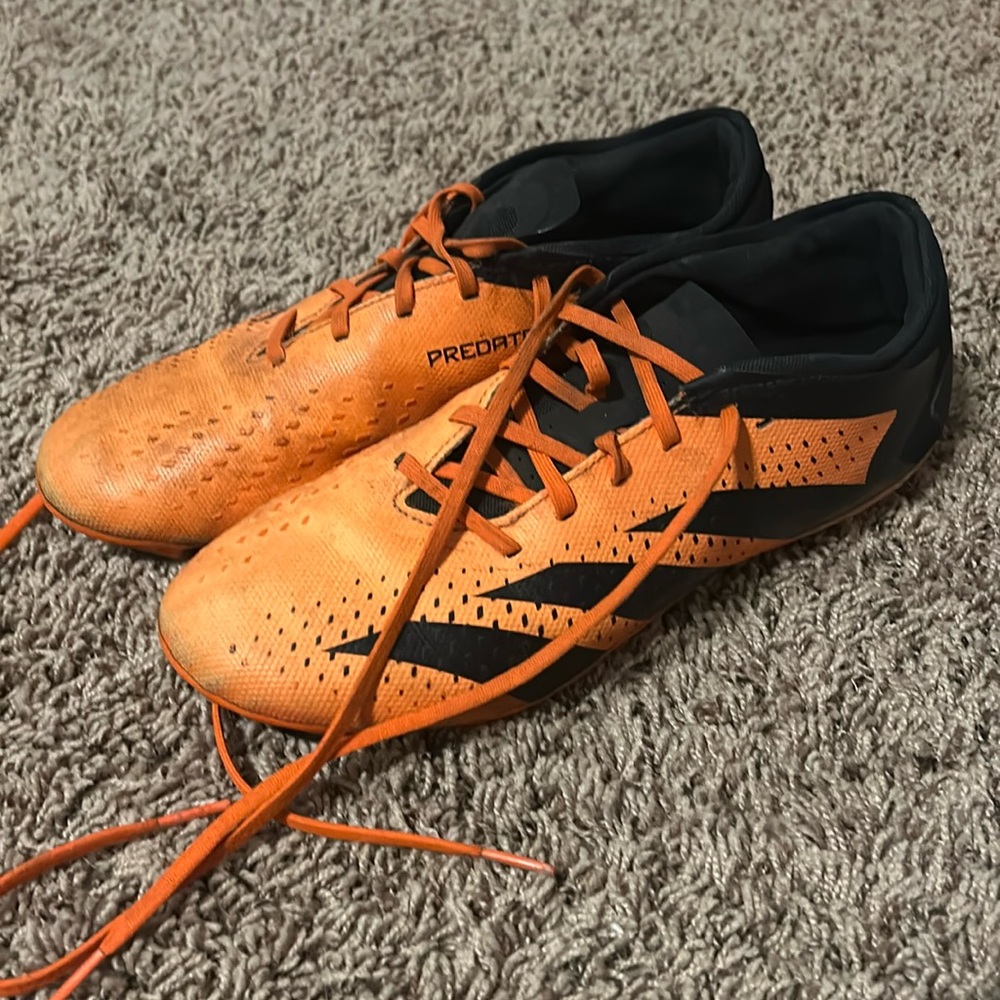 predator soccer cleats